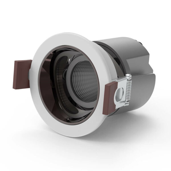 Smart Downlight RY001 - Voice Control Compatibility